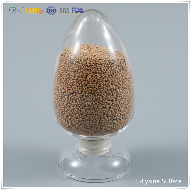 Feed Additive lysine sulphate 70% feed grade