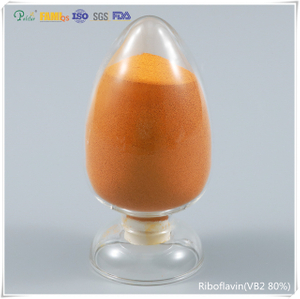 Good Quality Riboflavin CAS 83-88-5 (Vitamin B2) 