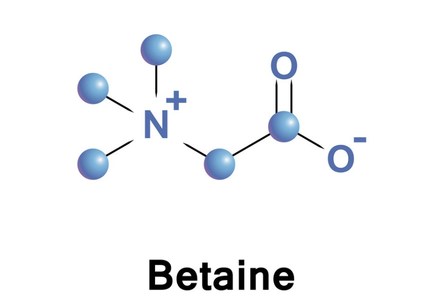 Relationship between Methionine, Choline and Betaine in Poultry